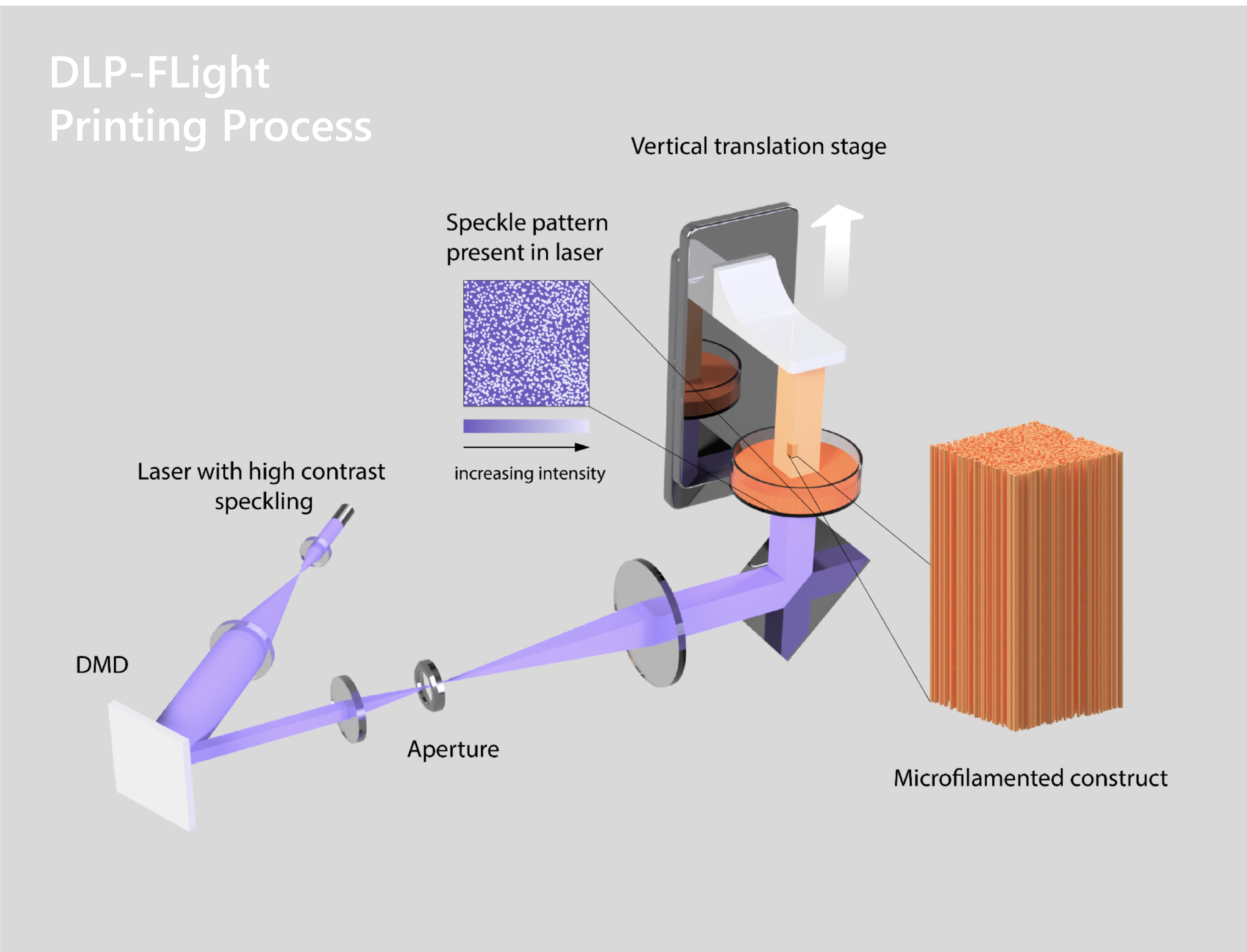 FLight overview photo