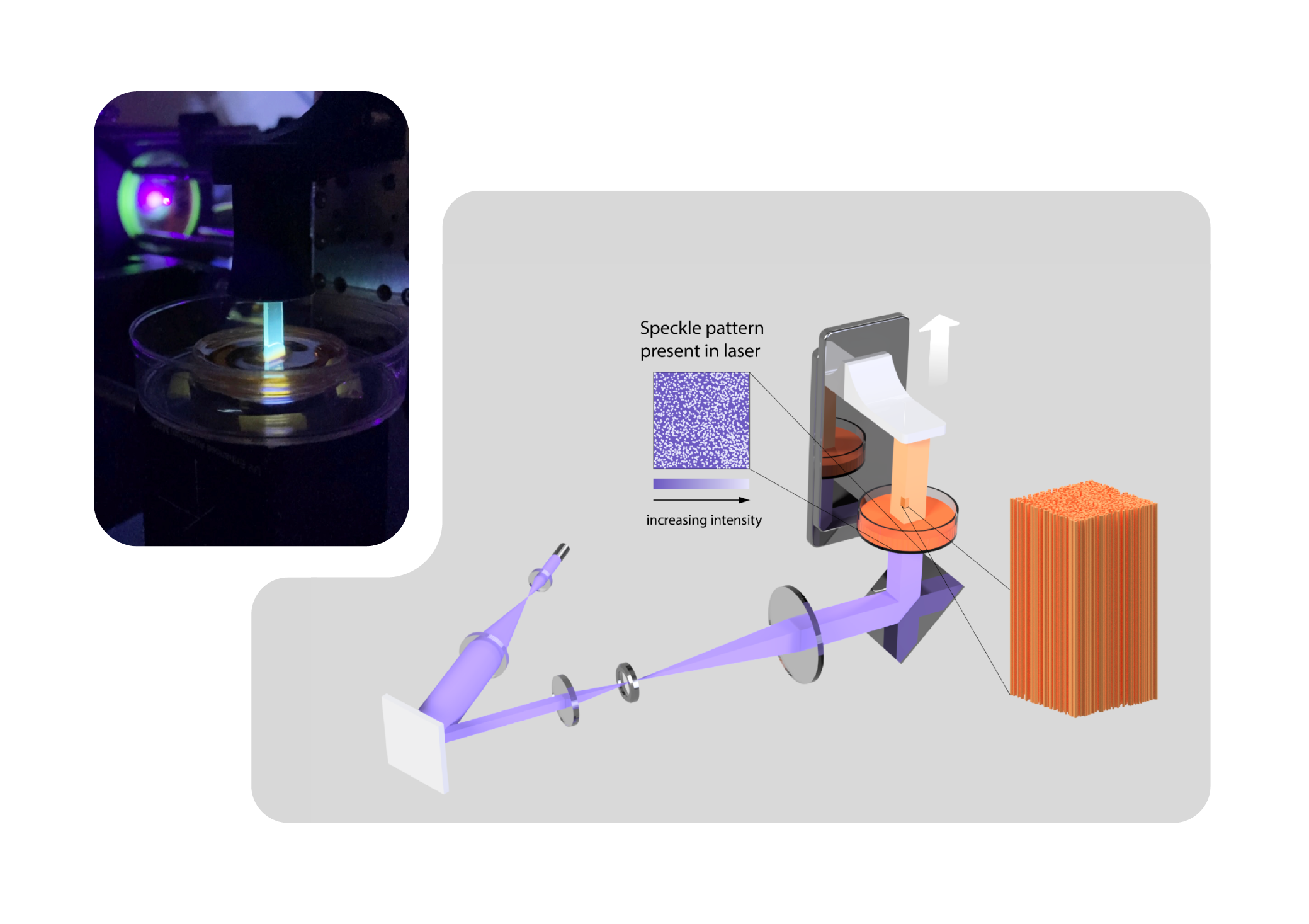Piezoelectric Filamented Light 3D Bioprinter thumbnail